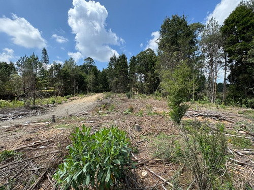 Lote Industriall Para La Venta En Guarne - Imagen 2