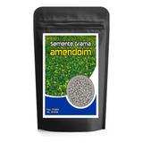 300 Sementes Grama Amendoim Forrageiro (arachis Pintoi)