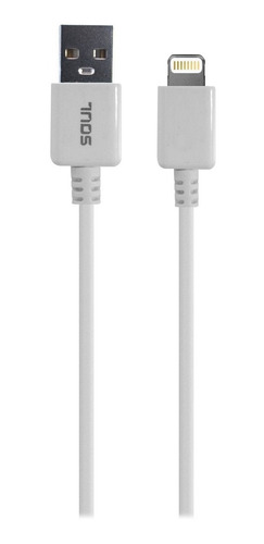 Cable Usb Para iPhone iPad Carga Rapida Datos Largo 2mts