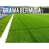 Sementes De Grama Bermuda Campo De Futebol, Jardim - 10 Kg