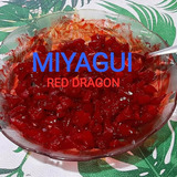 Pesca Pejerrey Miyagui Atrayente Tonalizador Red Dragon Rojo