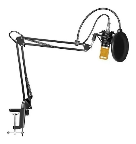 Microfono Condenser Kit Fifine Brazo Articulado Filtro Araña
