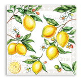 20 Guardanapos Para Decoupage Ambiente  Citrus