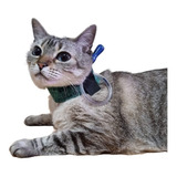 Colar De Contenção Protetor Sonda Esofágica Para Gato Pet 