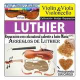 Luthier Reparacion Violin Viola Violoncello Tasacion Compra
