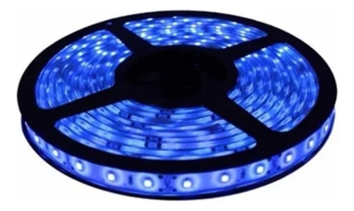 Tira Led Luz Azul 2835 X5mt 40w Interior / Exterior Ip66