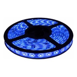Tira Led Luz Azul 2835 X5mt 40w Interior / Exterior Ip66