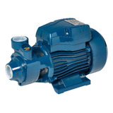 Bomba De Agua Periférica Elevadora Qb60 0,5 Hp 220v 