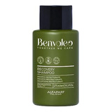 Shampoo Alfaparf Milano Benvoleo Para Cabello Dañado - Vegan