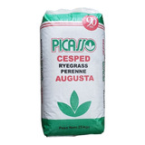 Semillas Cesped Ryegrass Perenne Premium Augusta 25k Picasso