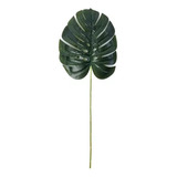 Hoja Costilla De Adan 70cm Pack Por 2u