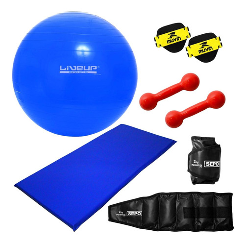 Kit Fitness Bola Suíça, Colchonete, Caneleiras E Halter