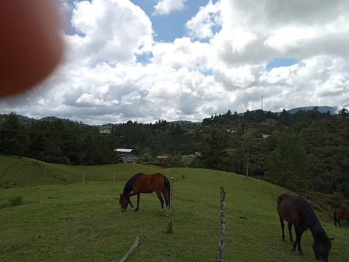 Venta Lote En Alto De Las Palmas Muy Cerca Al Peaje Con Casa Campesina - Imagen 3