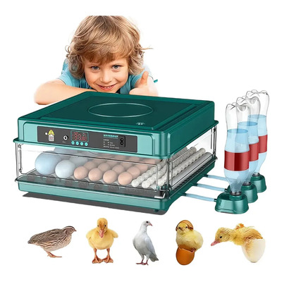 Incubadora De 64 Huevos Que Automatiza La Rotación De Huevos | Envío gratis