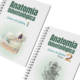 Caderno De Estudos Anatomia Odontológica 2 Cabeça E Pescoço