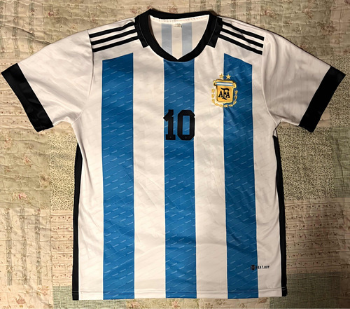 Camiseta Argentina Titular Mundial Qatar - Usada - Talle Xxl