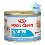 24 Latas Starter Mother & Babydog Mousse 145g Royal Canin