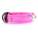 Collar Para Mascotas Con Luz Led Recargable Usb Antipérdida