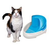 Bebedouro Gato Bebedouro Para Gatos E Cães Fonte Água Bivolt Cor Rosa