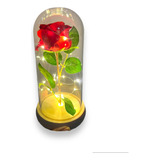 Flor Bela E A Fera Rosa Cupula Luminaria Led Ouro 20 Cm