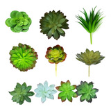 9un Planta Suculenta Artificial Decorativa Vasinhos Arranjos