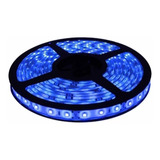 Fita Led Azul 5 Metros 5050 Dupla Face 12v Com Silicone