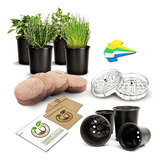 Kit De Inicio De Semillas De Plantas Y Jardn De Hierbas Viva