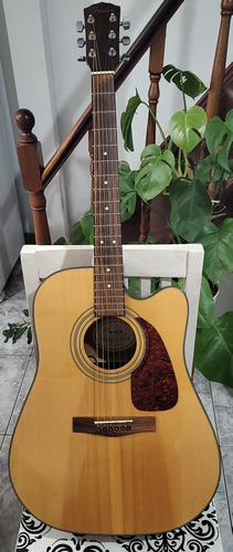 Guitarra Electroacústica Fender Dg-14sce 
