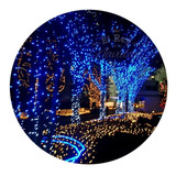 Guirnalda De Luces Navidad Led Azul X100 Cumpleaños Fiestas