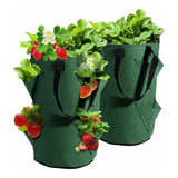 Wohous - Bolsas De Cultivo Para Fresas Y Fresas 2 Unidades P