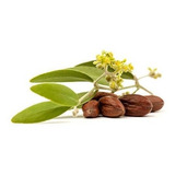 Aceite De Jojoba Golden Prensado En Frío Sin Refinar 250 Ml