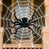 Teia De Aranha De Halloween Com 1 Aranha Grande