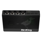 Birddog 4k Quad 4 Canales De 12g-sdi Ndi Codificador/decodif