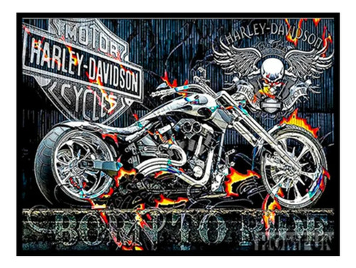 Set Pintura Diamante 5d-moto Harley-30x40