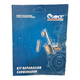 Kit Reparación Carburador - Akt 180ttr/ttx - Original