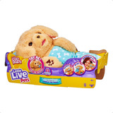 Peluche Little Live Pets Charlie Interactivo Con Sonidos