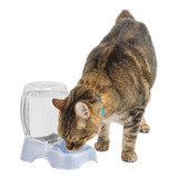 Petmate Pet Cafe Waterer Dispensador De Agua Para Perros Y G