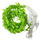 Cadena De Luces Decor Ivy Para Dormitorio, 10 Luces Led En T