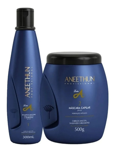 Kit Aneethun Linha A - Shampoo 300ml + Mascara Capilar 500g