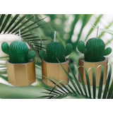 Recuerdos Vela Decorativa Cactus En Maceta (4pzas)