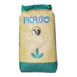 Semillas Cesped Pastoreo Ryegrass Anual Tibet 25kg Picasso