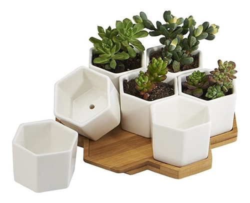 Molde Hexágono Maceta Moderno Concreto/yeso Oferta Fácil Uso