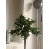 Planta Palmera De 70 Cm