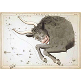 Lienzo Canvas Arte Constelación Tauro 1825 50x72 Astronomía