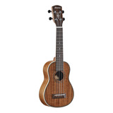 Alvarez Au90 artist Series Ukelele