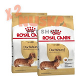Royal Canin Dachshund Adulto 3 Kg X 2 Unidades Salchicha