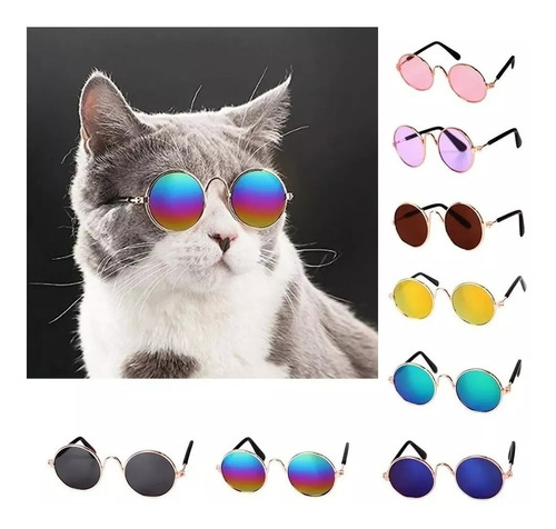 Lentes Gafas Retro Para Gato Gatito Mascota Multicolor