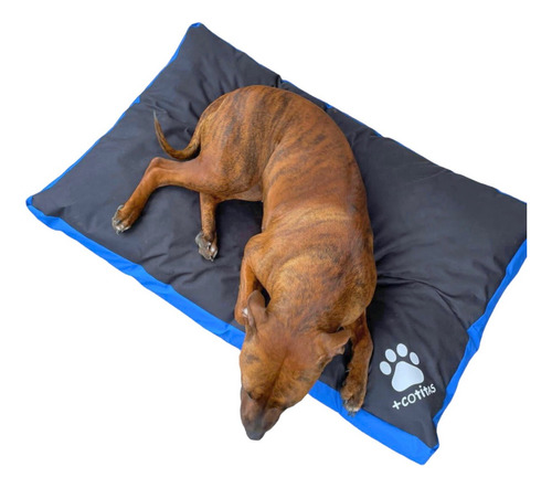 Cama Para Perros Grandes Antidesgarro / Impermeable +cotitas