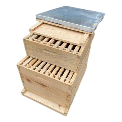 Caja Para Colmena (cámara De Cría) Jumbo Con Alza | Meses sin interés