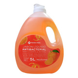 Jabón Líquido Manos Cuerp Antibacterial Members 5l Mandarina